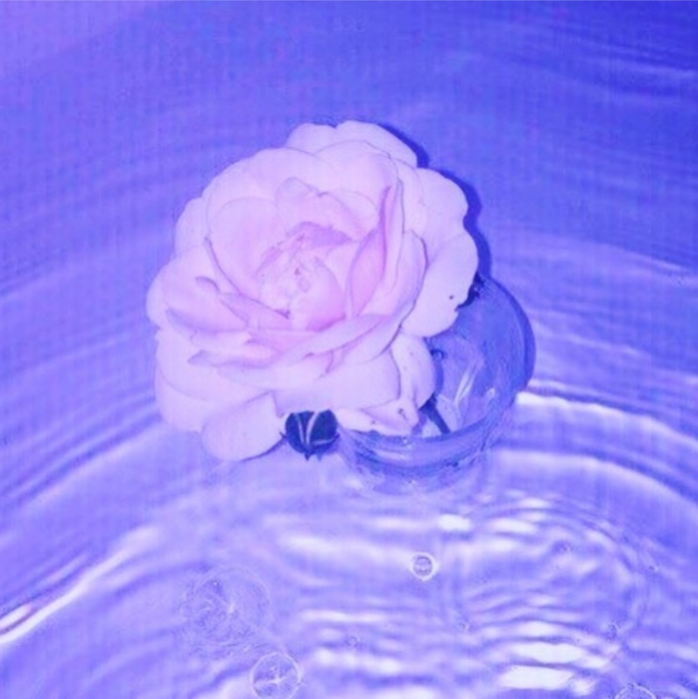 Meet your Posher, Audrey